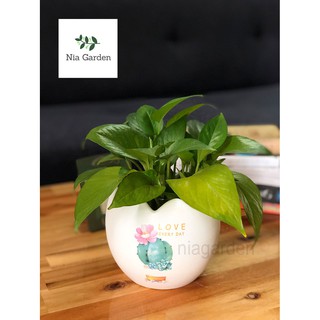 Chậu cây gốm sứ in, trứng to