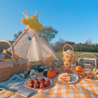 Thảm picnic 1m5x1m5