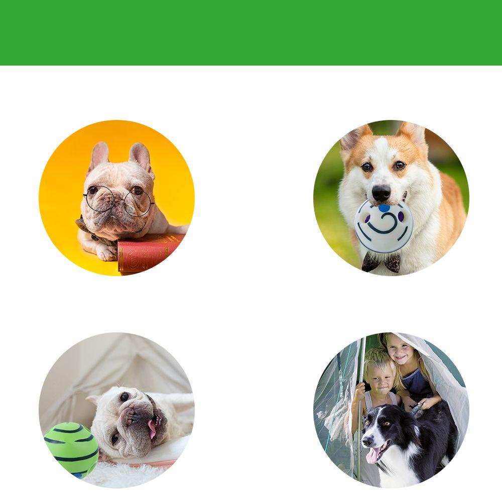 ESPO Banh GặM Vui NhộN, Không ĐộC HạI Cho Thú Cưng