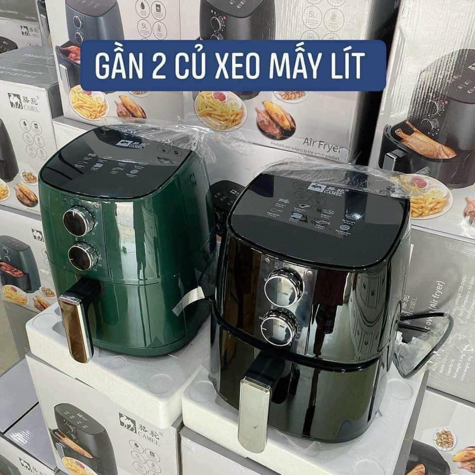 NCKD Camel nội địa Trung