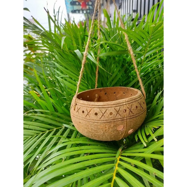 100k/5 Gáo Dừa trồng cây + dây cối