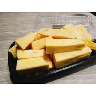 cây giống mít thái