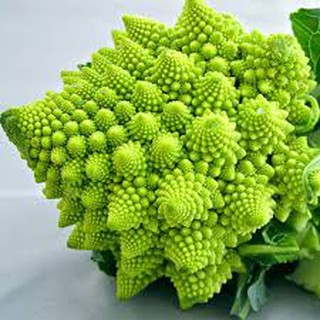 0,2GR - HẠT GIỐNG SÚP LƠ SAN HÔ