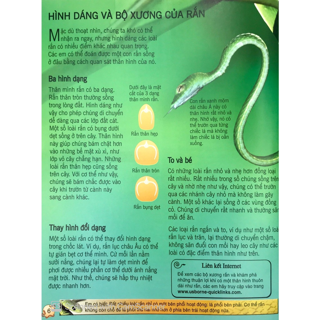 Sách thiếu nhi - Bách khoa tri thức về khám phá thế giới cho trẻ em - Các loài rắn