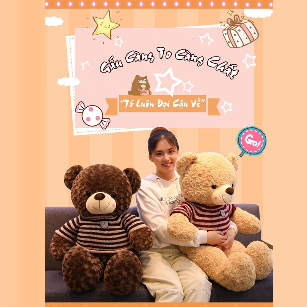 Gấu Bông Teddy