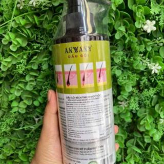 Dầu gội kích thích mọc tóc Anwany Collagen B