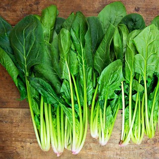5gr - HẠT GIỐNG CẢI BÓ XÔI