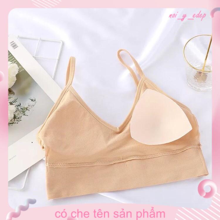 Áo bra cotton gân tăm 367 VENIZO hàng loại 1 [kho sỉ] | BigBuy360 - bigbuy360.vn