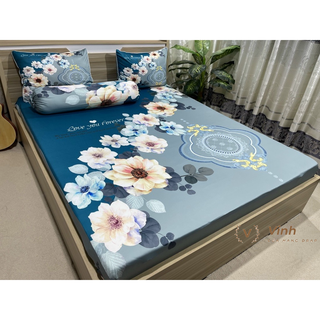 Bộ drap thun lạnh ý 5d