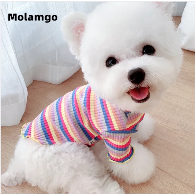 Áo Sweater Dễ Thương Cho Thú Cưng Shih Tzu Pomeranian