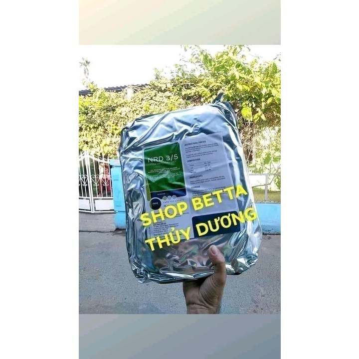 Cám Thái Inve 2/3 , 3/5 , 5/8