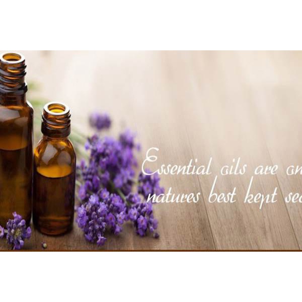 Tinh dầu Oải Hương OLEO 10ml nguyên chất