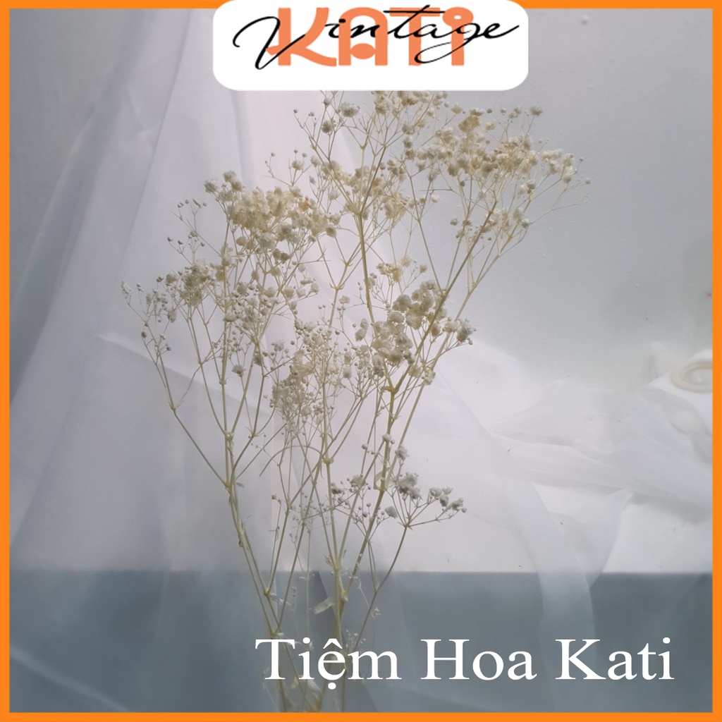 Hoa bi  BLOOM ướp trang trí nhà cửa, tiệc cưới vintage, làm đồ handmade, scrapbook