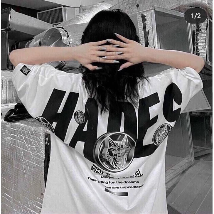 Áo Thun Unisex tay lỡ form rộng siêu đẹp cho cả nam và nữ- Áo Phông SÓI HADES 2 màu RÔ STORE AT19