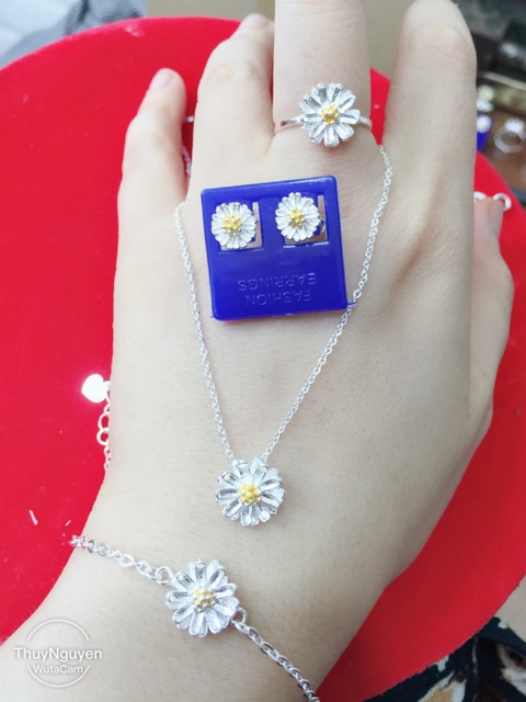 Bộ hoa cúc họa mi bạc ta