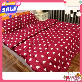 Bộ chăn phao ga gối 1m2x1m9,1m6x2m,1m8x2m