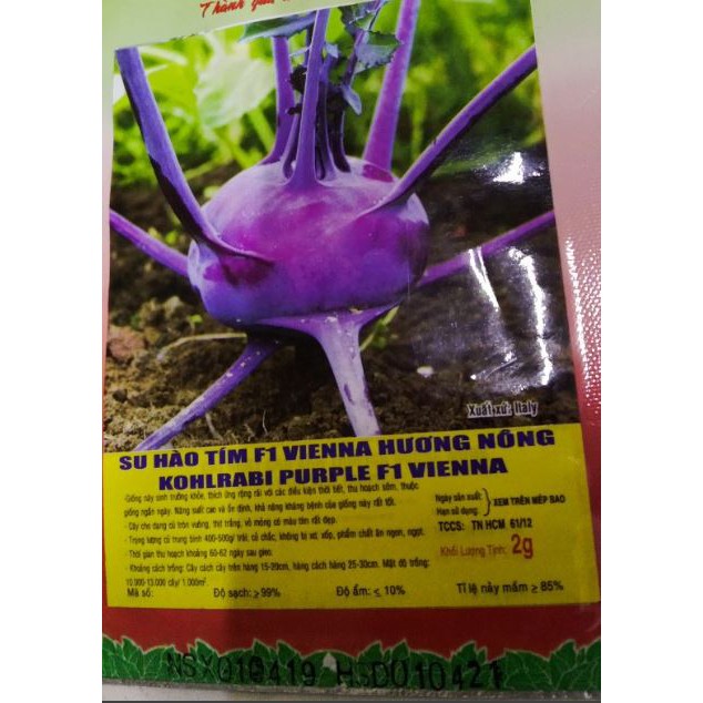 HẠT GIỐNG CỦ SU HÀO TÍM F1 - GÓI 2 GRAM