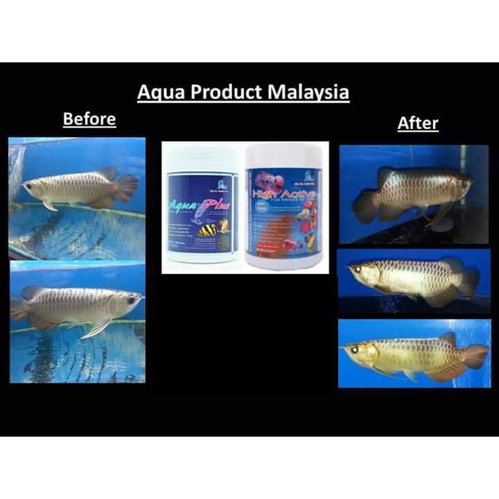 HIGH ACTIVE Khoáng Chất Giúp Cá Sung,Giảm Stress,Lên Màu Đẹp. Hàng Thái Lan