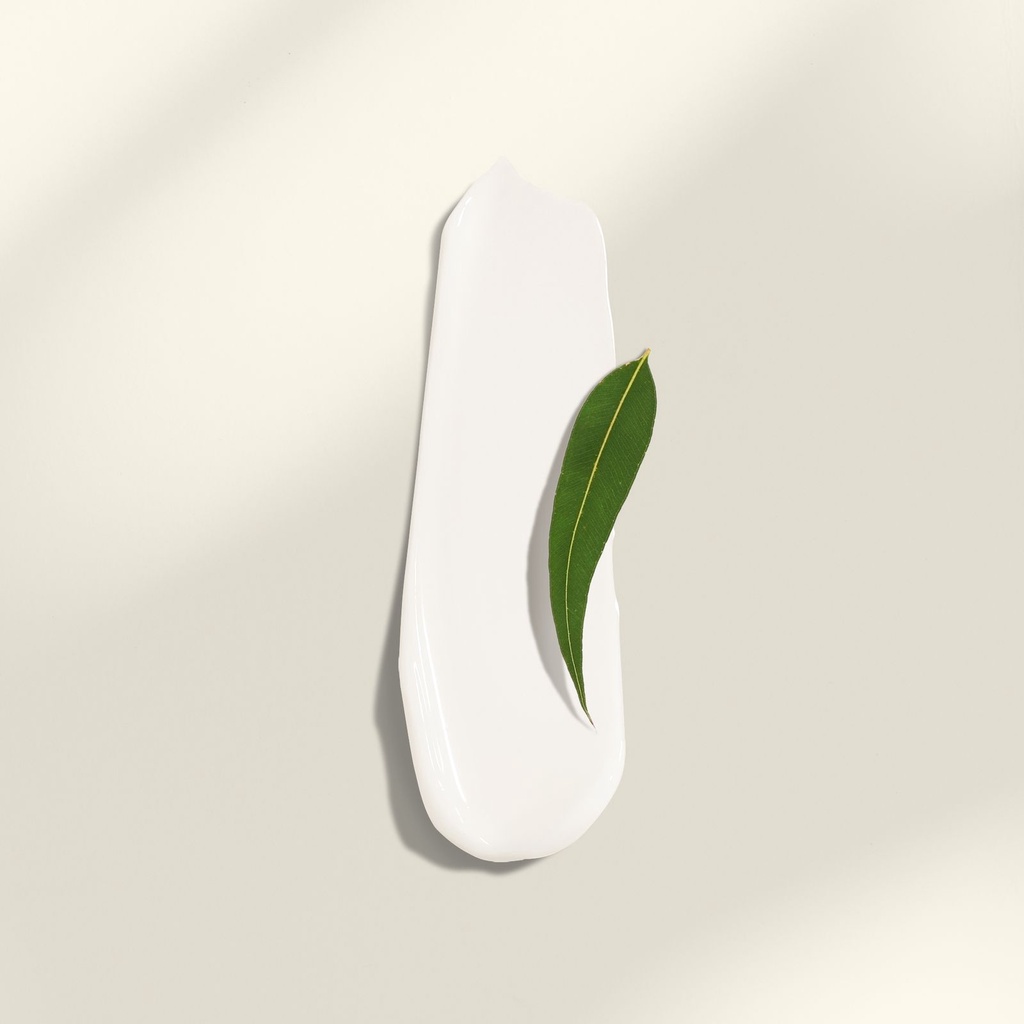 Sữa dưỡng thể khuynh diệp &amp; bạc hà Cocoon làm mềm da và thư giãn 140ml