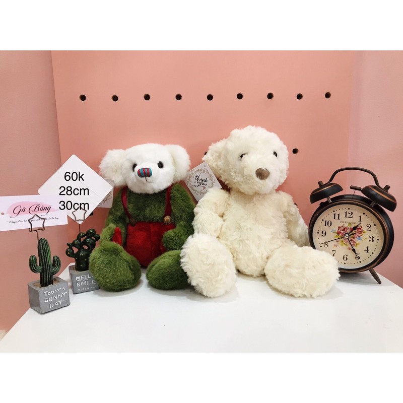 Gấu Si Teddy Úc Mỹ. Đã qua sử lý sạch sẽ