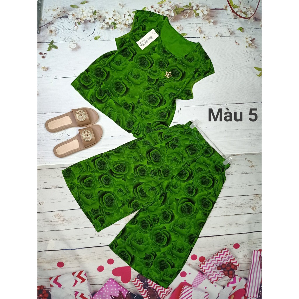 BỘ LANH (BỘ TOLE) CHO NGƯỜI TRUNG TUỔI CHẤT MÁT MỊN ĐẸP