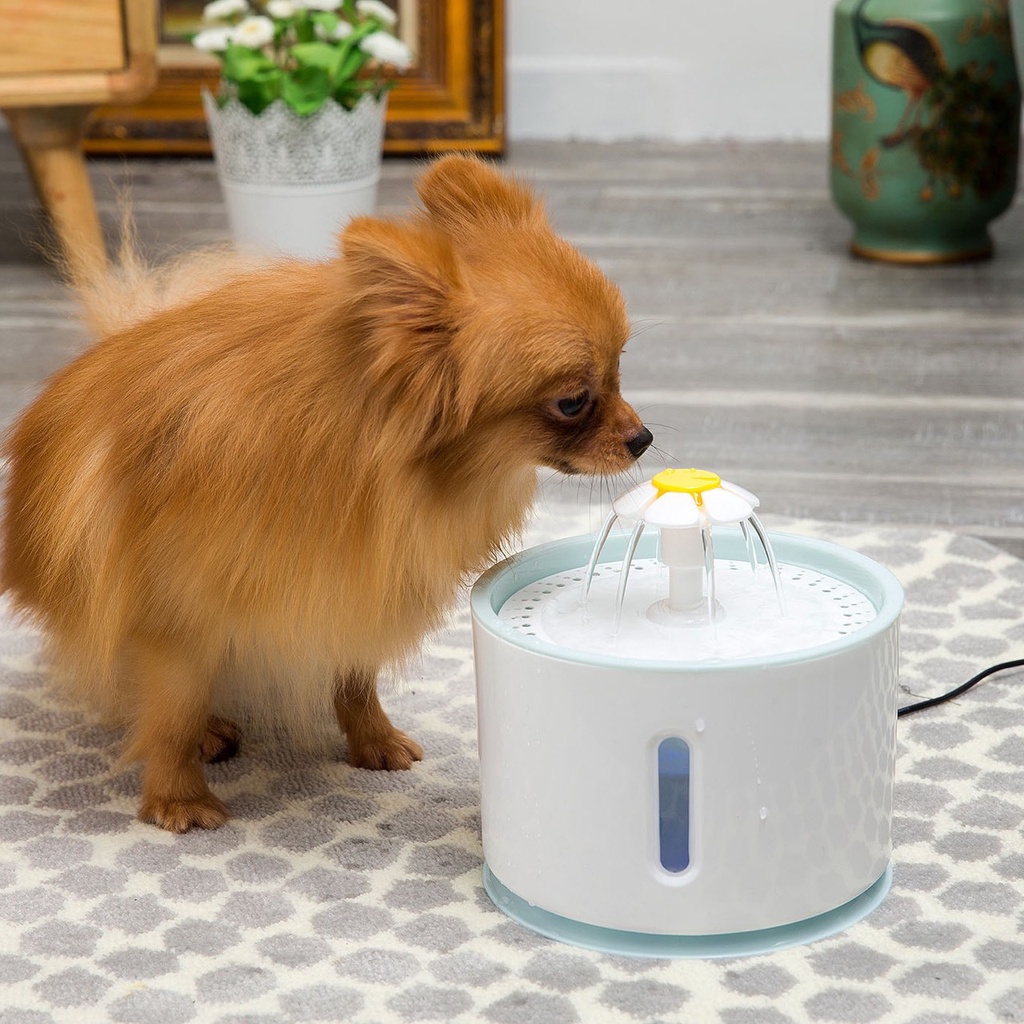 Máy lọc nước cho mèo uống tự động Pet Water Dispenser dung tích 3L
