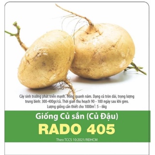 Hạt giống củ đậu Rạng Đông gói 5gr