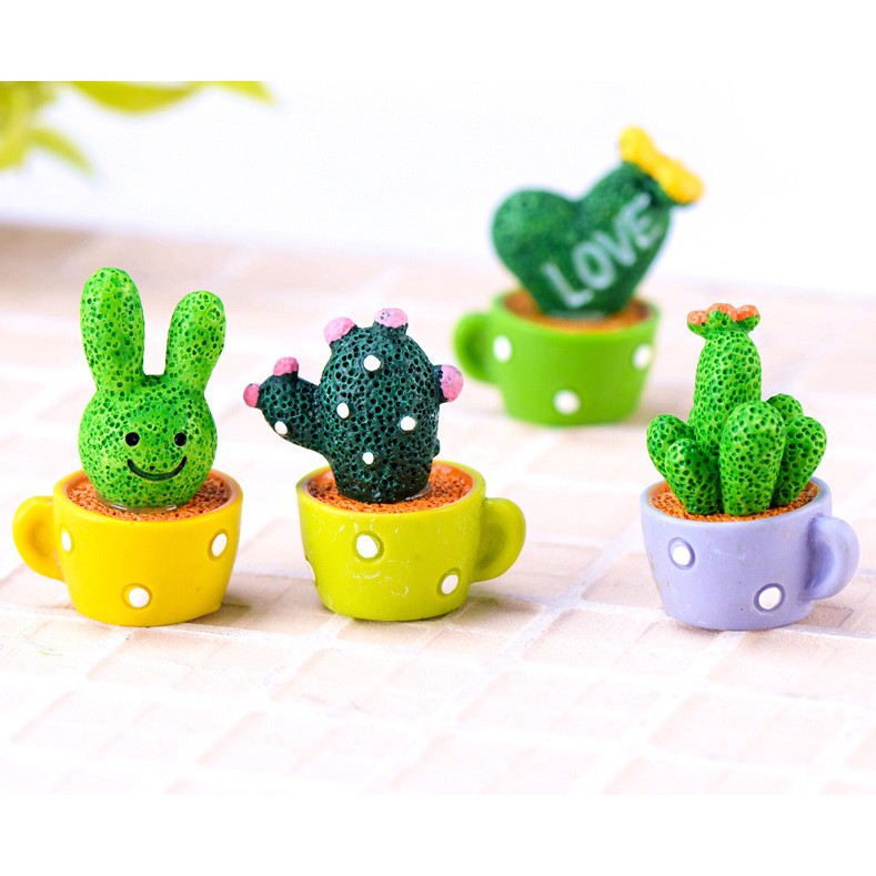 Xương rông tiểu cảnh cỡ 2.6x3.8cm