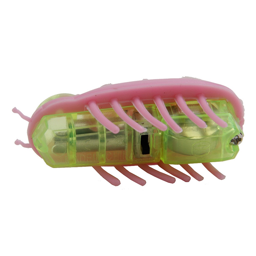 Đồ Chơi Robot Điện Tử Hình Bọ Rùa Dễ Thương Cho Mèo Cưng