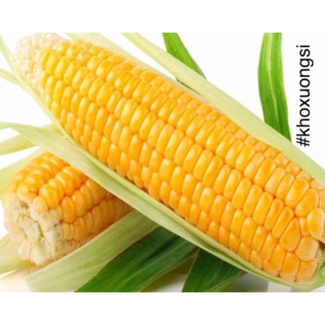 Hạt giống bắp mỹ ngọt, Bắp sữa - Ngô mỹ ngọt 100gr