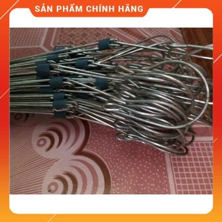 10 móc kẽm treo lan 70cm.