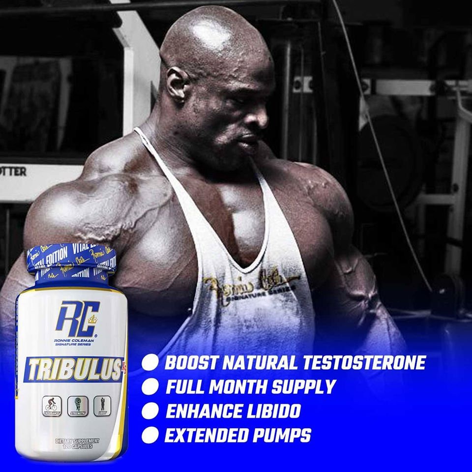 RC TRIBULUS - TĂNG CƯỜNG SỨC MẠNH NAM GIỚI, SUNG SỨC, TĂNG SINH LÝ (120 VIÊN)