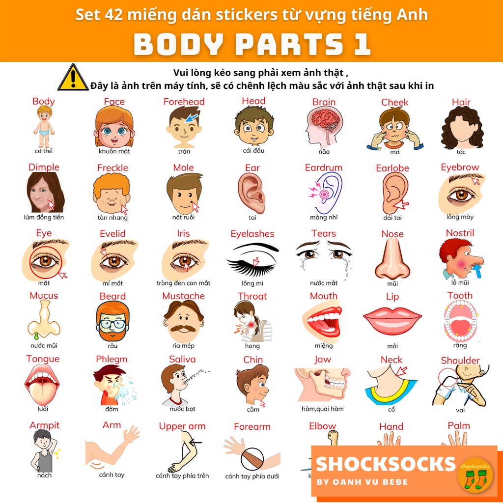 🔥42 miếng dán stickers từ vựng tiếng Anh chủ đề BODY - 42 Eng/Vi vocabulary stickers topic BODY 🔥