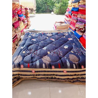 CHĂN LÔNG CỪU - hàng uy tín