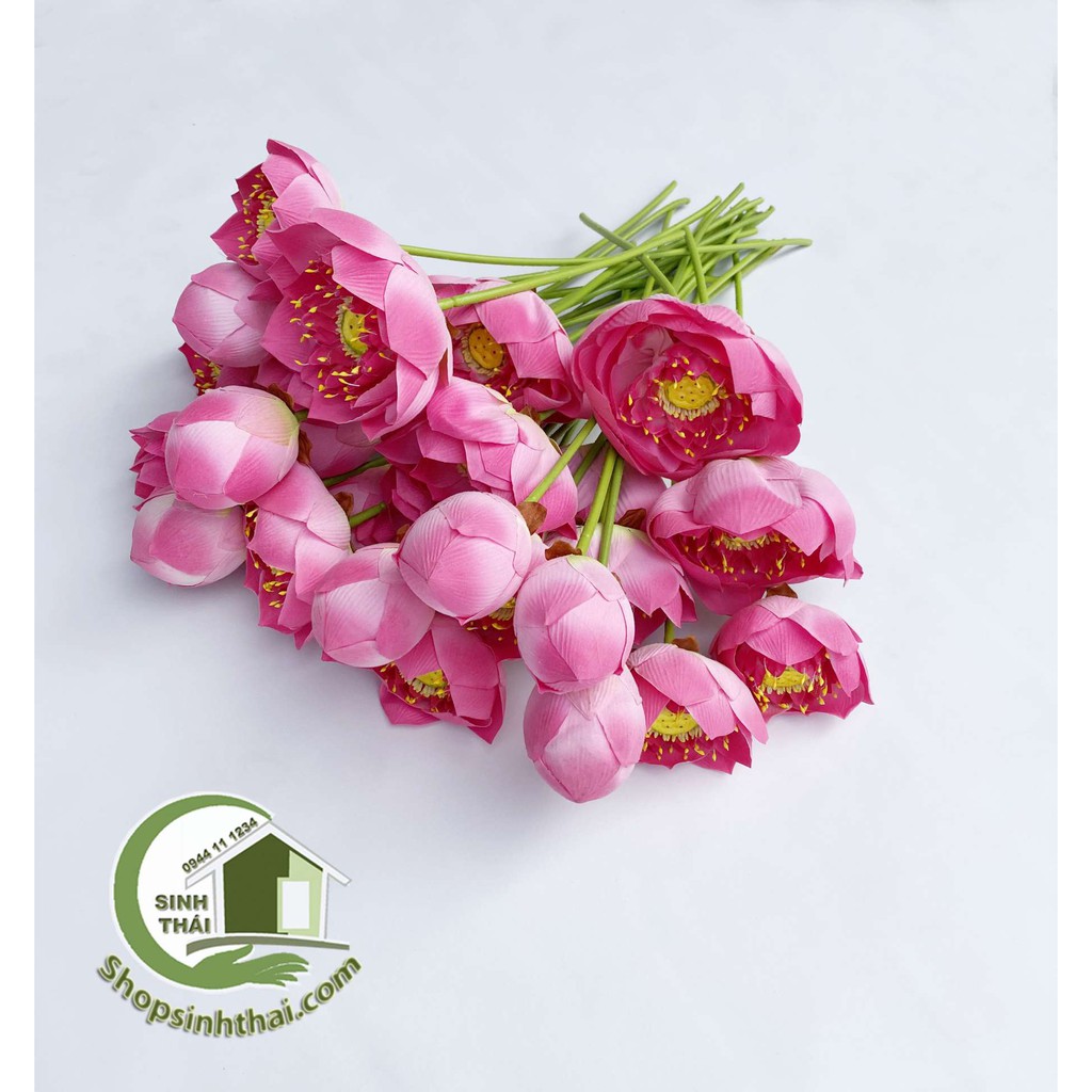 Cành hoa sen giả - bông sen vải lụa Thái Lan cao cấp - chọn bông