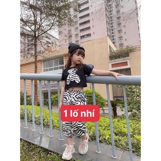 Set bộ gấu 🐻🐻🐻 bé gái hip hop