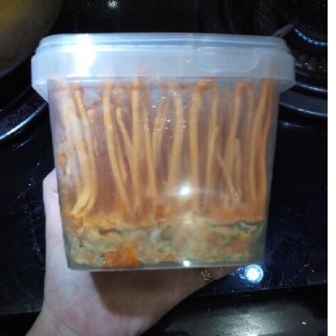 ✅1 Hộp Đông Trùng Hạ thảo Tươi  - mua 3 tặng 1