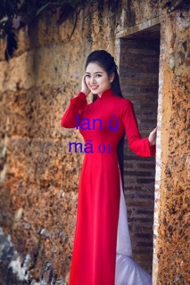 lụa korea, tằm thái