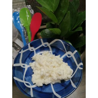 Nấm sữa kefir
