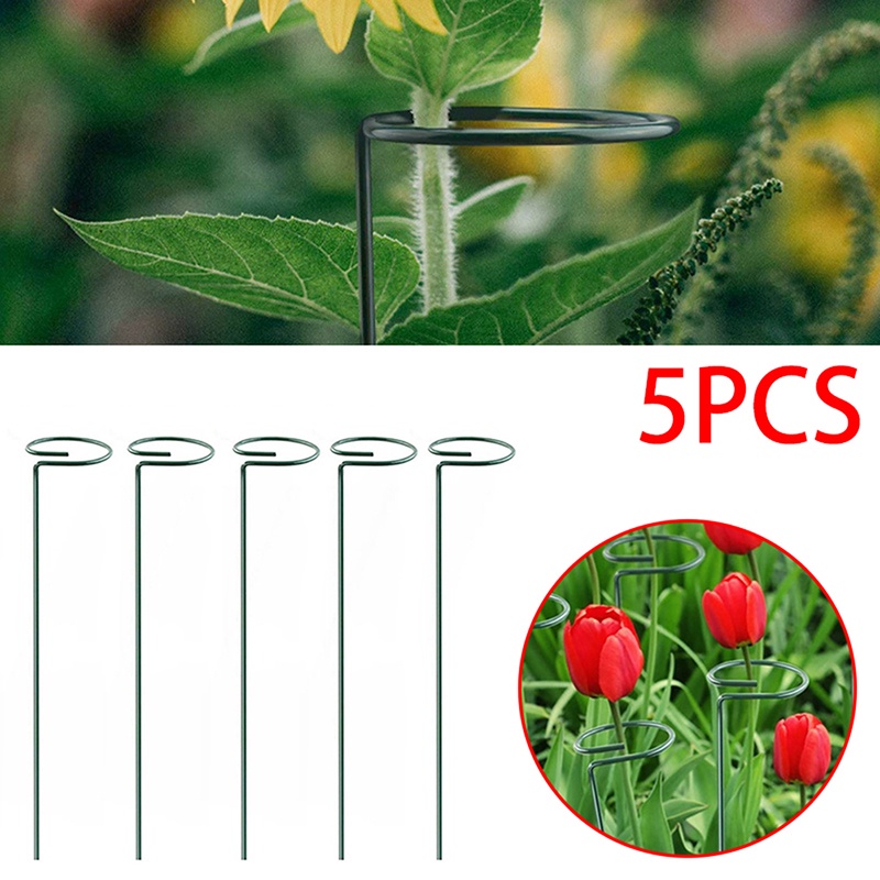 Hot sale! Thanh Đỡ Hỗ Trợ Trồng Cây Cà Chua amaryllis