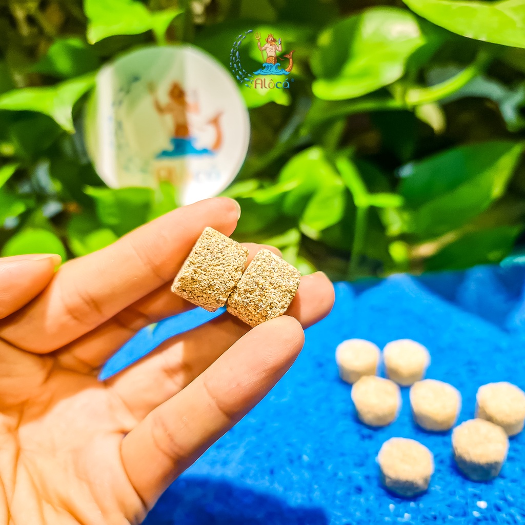 Bao 1kg vật liệu lọc xử lý nước bể cá cảnh sứ viên trụ tròn Yeben Bacteria Culturing Ball
