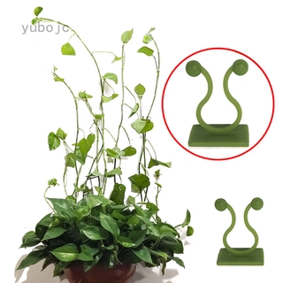 Set 10 Móc Treo Dây Leo Trong Suốt