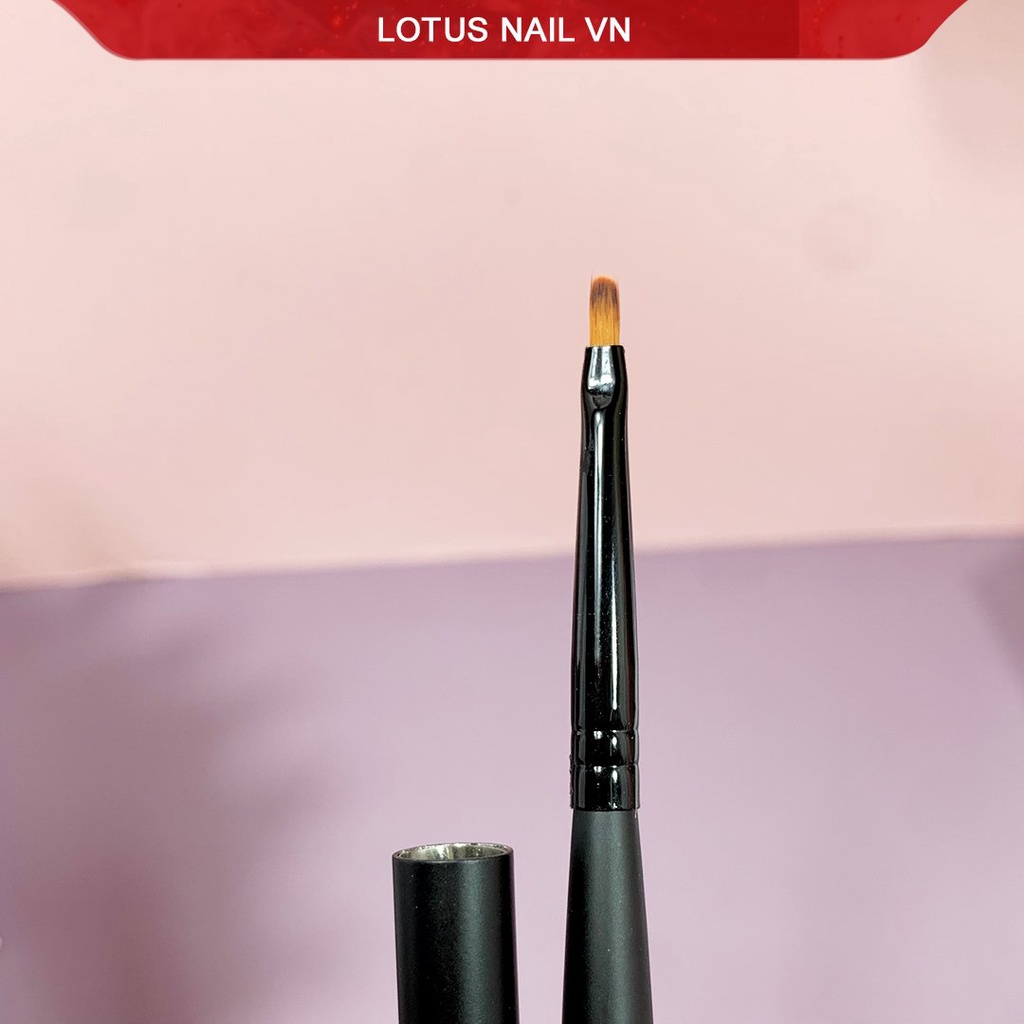 Cọ vẽ hoa cúc Dingxi hàng cao cấp