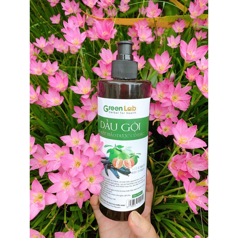 Dầu gội thảo mộc bồ kết Green Lab