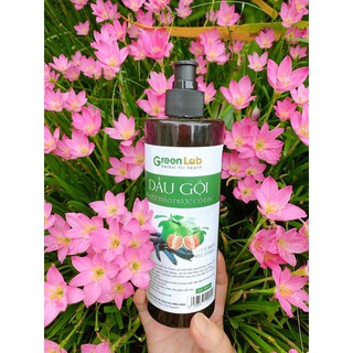 Dầu gội thảo mộc bồ kết Green Lab