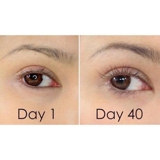 Dưỡng Mi Nhật Bản