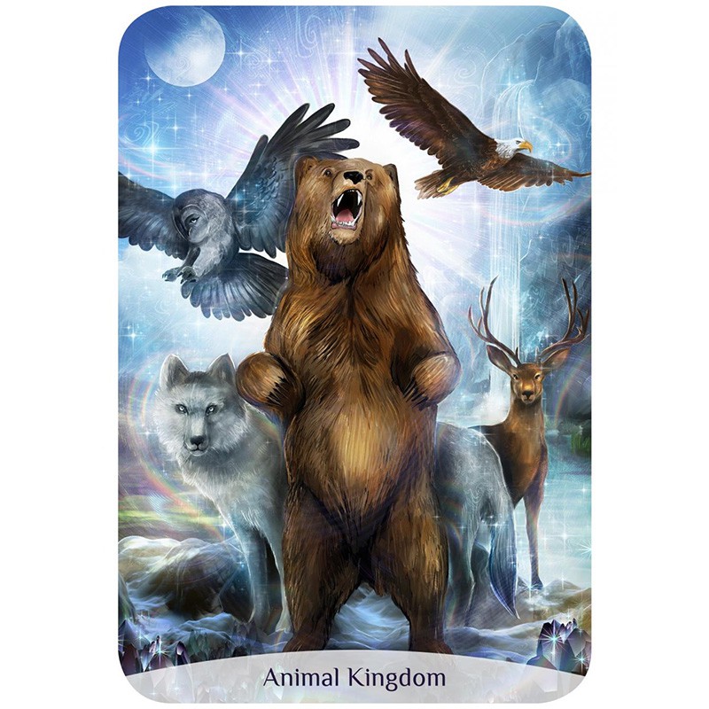 Bộ Bài Sacred Power Reading Cards (Mystic House Tarot Shop) - Bài Gốc Authentic Chính Hãng 100%