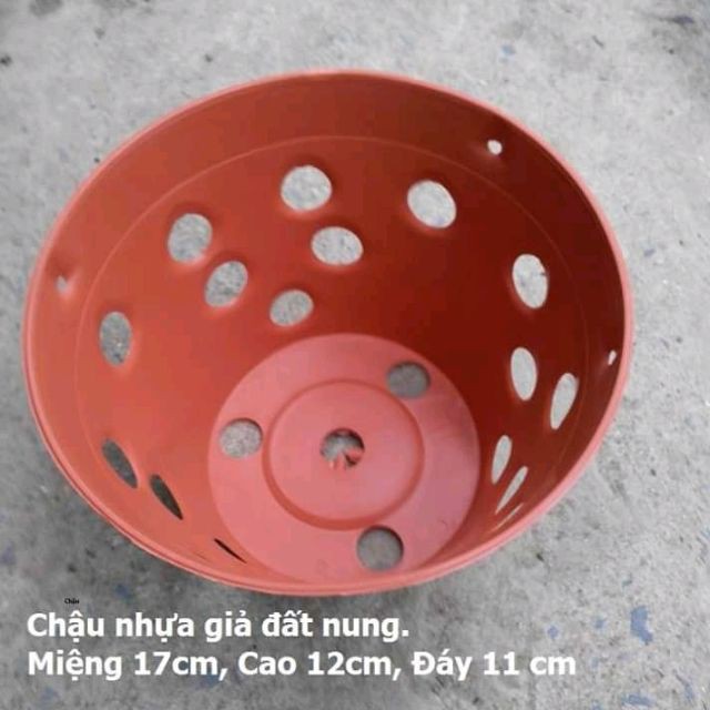 Rẻ- Combo 20 chậu giả đất nung phi 17 nhập khẩu, phân phối.