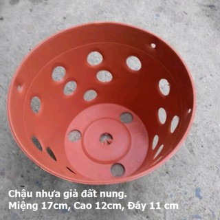 Rẻ- Combo 20 chậu giả đất nung phi 17 nhập khẩu, phân phối.