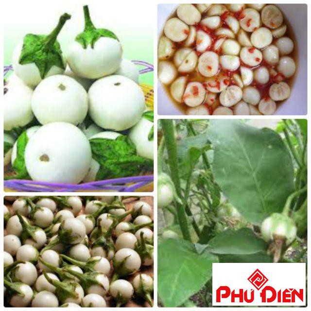 Gói 100 hạt giống cà pháo trắng  PHÚ ĐIỀN